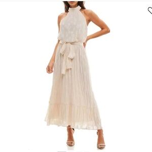 Socialite $128 Chiffon maxi dress in. Cream